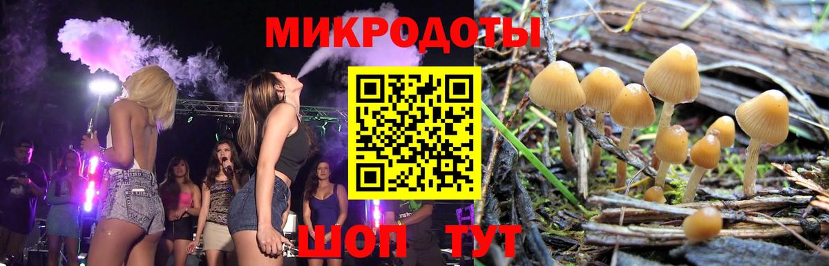 Псилоцибиновые грибы мицелий  Галлюциногенные грибы Psilocybine cubensis  Вход с VPN  Кизляр 