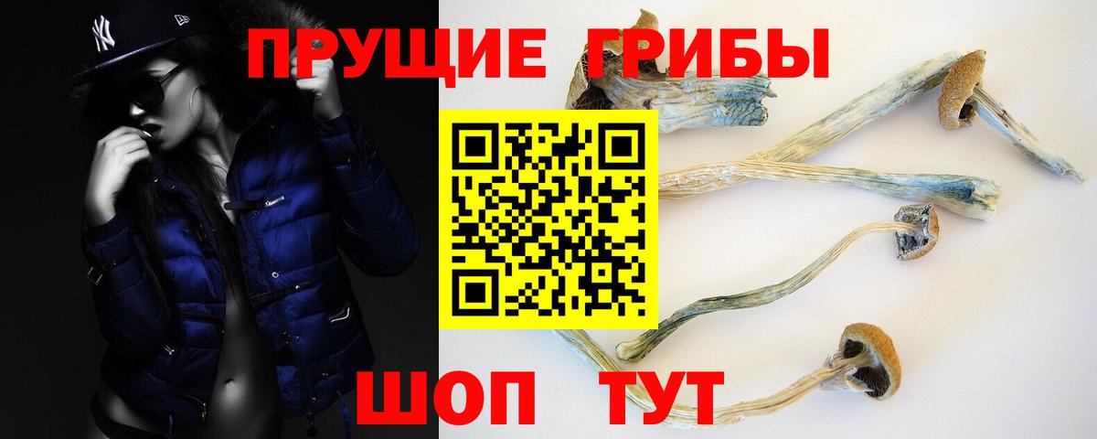Псилоцибиновые грибы MAGIC MUSHROOMS Кизляр
