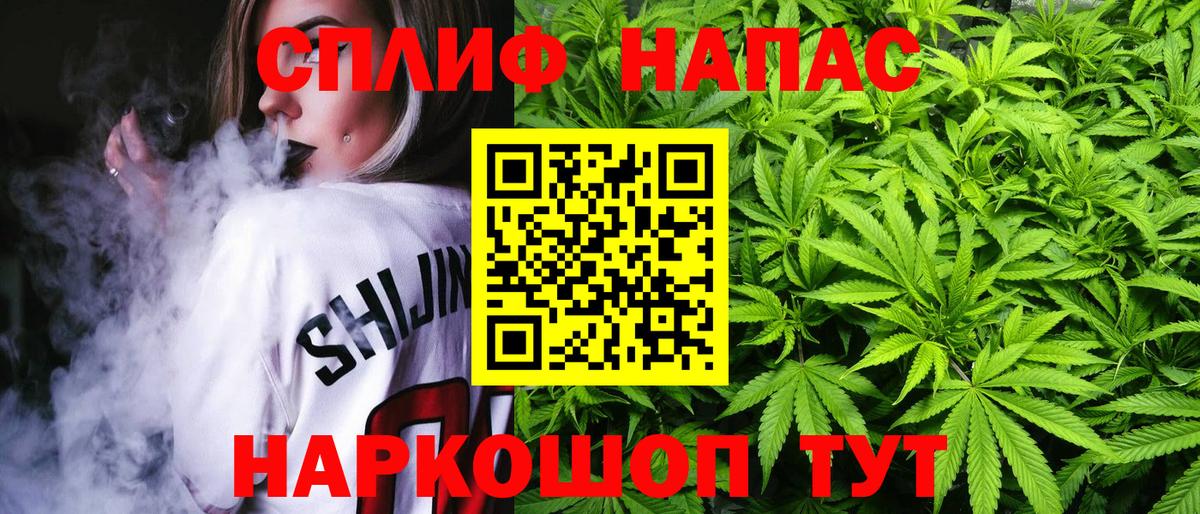 Каннабис планчик Кизляр